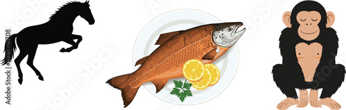 Black Horse Silhouette in Motion, Fresh Whole Salmon Fish with Lemon on Plate, and Cute Sitting Chimpanzee Character Vector Illustration Element Set