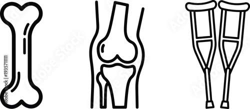 Vector of Anatomical bone and leg injury illustrations