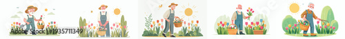 vector happy grandpa picking flowers in tulip garden