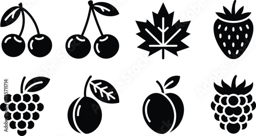 Black and white fruit and leaf icon set with cherries, strawberry, raspberry, plum, grape and maple leaf