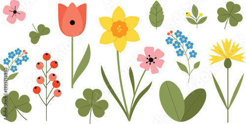 Spring flowers and leaves collection with tulip daffodil berries clover and wildflowers botanical vector illustration set