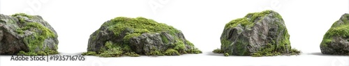 Row of textured grey rocks covered in vibrant green moss on a white backdrop