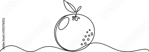 Continuous one line drawing of fresh orange fruit.one line vector illustration with white background