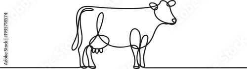 Cow in continuous line art drawing style. Beef single line. Household animals.one line vector illustration with white background
