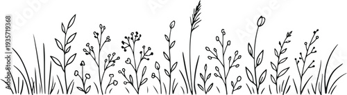 Minimalist hand drawn wild grass and meadow flowers vector border.