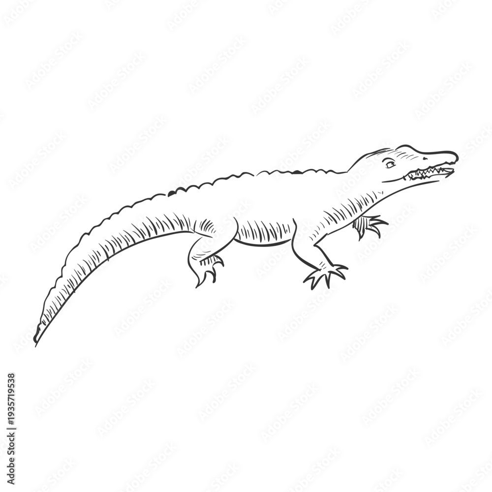 Naklejka premium Sketchy crocodile