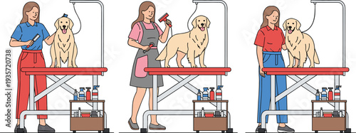 Flat vector illustration set of female groomers washing brushing and styling golden retriever dogs at a pet salon