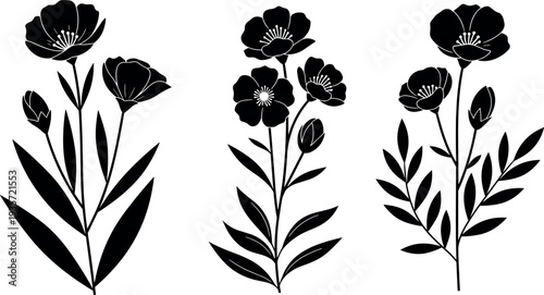 Set of three elegant black silhouette flower stems with leaves and buds isolated on white background for 