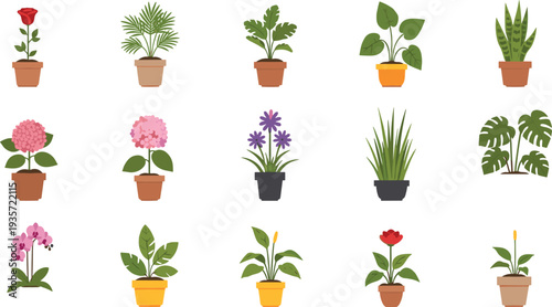 Indoor Potted Flower and Houseplants Collection with Rose Orchid Monstera Palm and Decorative Home Garden Plants Vector Illustration Set.