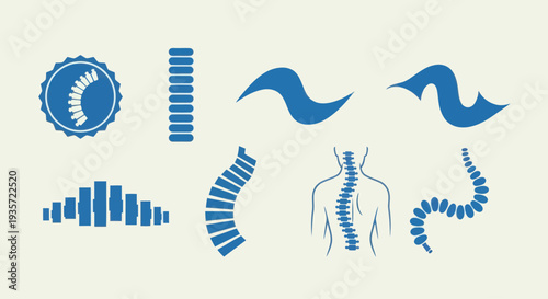 Spine Health Icons: Scoliosis, Posture, Vertebrae, and Spinal Cord Health