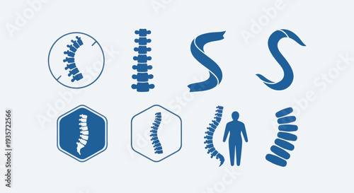 Spine Anatomy Icons Set: Medical Illustrations of Vertebrae and Human Body