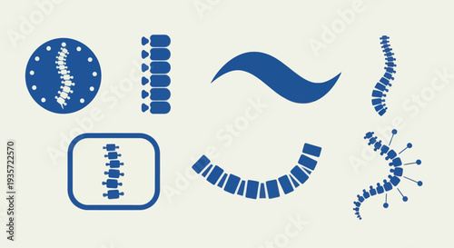 Spine Anatomy Icons: Medical Illustrations of Vertebral Column Health