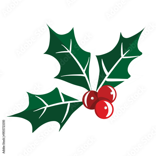 Mistletoe icon 33