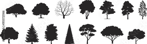 Collection of tree silhouettes, deciduous and evergreen forest icons isolated on white background for landscape design and architectural illustration