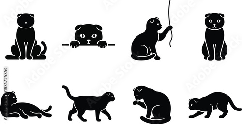 Vector illustrations of playful cats showcasing various poses and activities