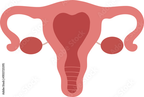 Women Menstrual Health Illustration