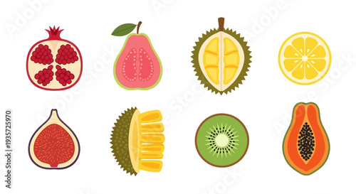 Assorted tropical fruit illustrations