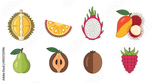 Assorted tropical fruits isolated on white