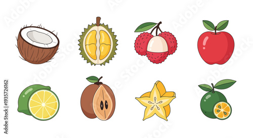 Assortment of colorful tropical fruit illustrations