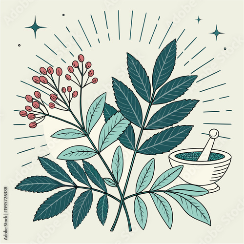 Natural Herbal Healing Concept