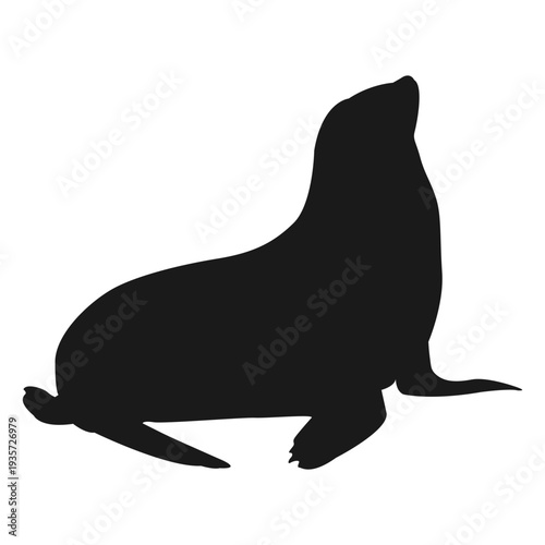 Bild auf Leinwand Sea lion silhouette