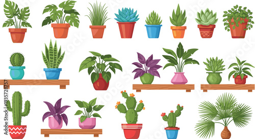 Indoor Potted Houseplants Collection with Succulents Cactus Monstera and Decorative Shelf Plants for Home Garden Flat Vector Illustration Set.