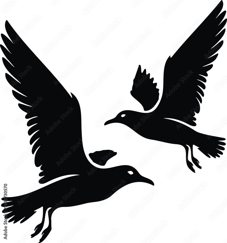 Obraz premium Pair of flying seagulls isolated on transparent background