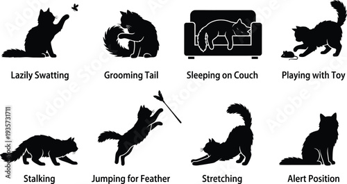 Silhouette illustrations of playful cats engaging in various activities at home