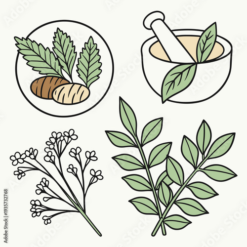 Herbal Ingredients Flat Design Pack