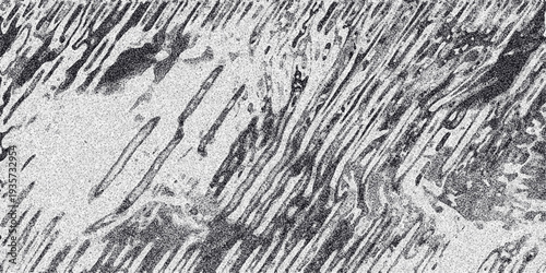 Abstract grayscale texture with diagonal dark streaks and a speckled granular surface, suggesting movement or a natural fibrous pattern for backgrounds