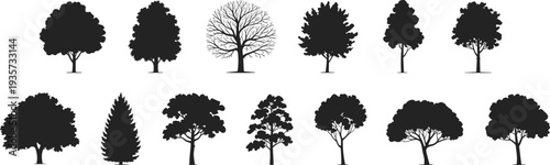 Tree silhouettes collection, diverse foliage, deciduous, coniferous, leafless branches, nature diversity, landscape design, botany reference, artistic illustration, forest shapes, ecology