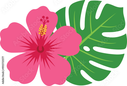 Brighten your design with this tropical hibiscus flower vector set featuring pink, red, orange, and teal blooms paired with lush monstera and palm leaves