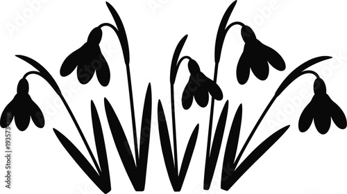 Snowdrop flower silhouette vector illustration, spring blooming snowdrop plants with leaves isolated on light background, botanical floral design element