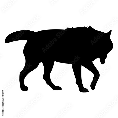 Wolf stalking silhouette