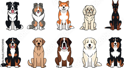 Cute domestic dog breeds collection flat vector illustration set with sitting puppies including shepherd retriever bulldog doberman and mixed breeds