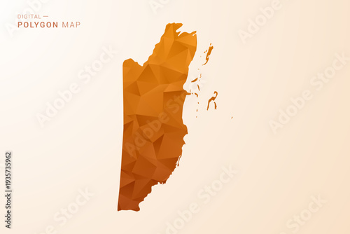 Belize Map - Low Poly Polygon Vector Illustration in Orange Hue, Clean Geometric Style, Isolated on White Background.