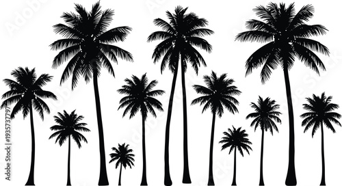 Palm tree silhouettes, tropical vegetation, beach scene, island nature, exotic plants, coastal design, summer illustration, vacation art, landscape, paradise