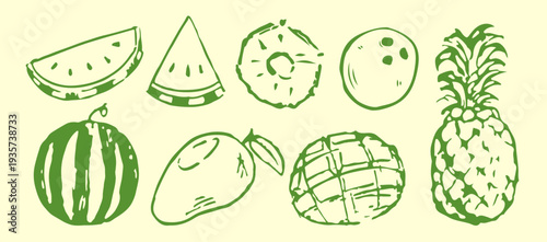 Hand drawn tropical fruits collection vector illustrations in grunge chalk or charcoal rough doodle sketch style elements isolated on light background