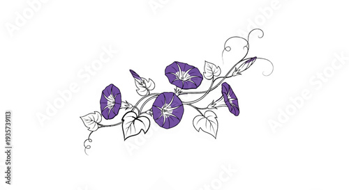 Delicate purple morning glory flowers with detailed vines and leaves