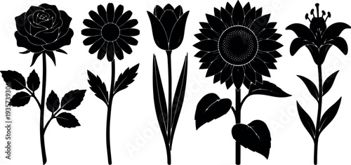 Silhouette vector art close up five different flowers rose daisy tulip sunflower and lily isolated black silhouettes on white background