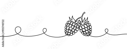 Pair of raspberries connected on continuous line illustration. none editable strokes