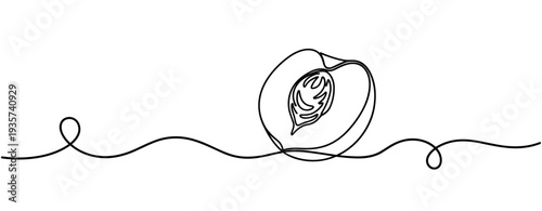 Peach half with pit placed on continuous line surface composition. none editable strokes