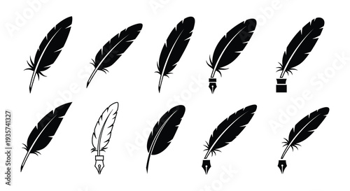Collection of black quill feathers and inkwells in a simple arrangement
