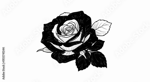 Striking monochrome drawing of a rose with dark petals and lighter center