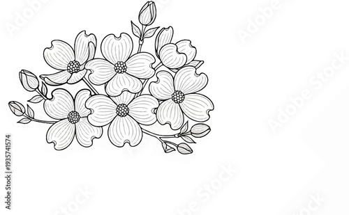 Delicate dogwood blossoms and buds rendered in a stylized line drawing