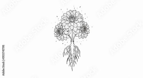 Intricate floral illustration with visible root system and scattered dots