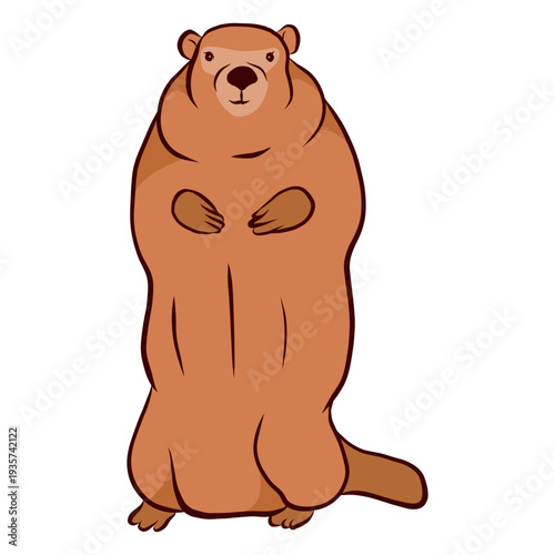 Ground hog marmot muzzle tail fur illustration