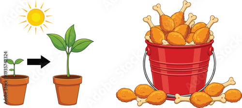 Plant Life Cycle Stages in Terracotta Pots Under the Sun and a Red Metal Bucket Overflowing with Crispy Fried Chicken Drumsticks Vector Illustration