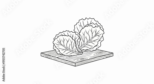 Line art illustration of fresh cabbage leaves presented on a wooden cutting board