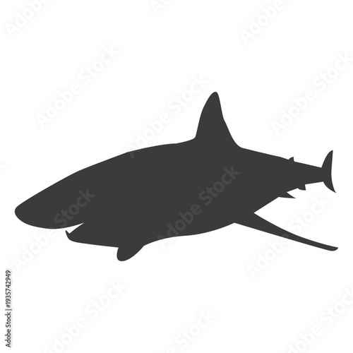 Shark tail fin silhouette